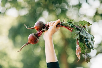 Make Wine, Not War